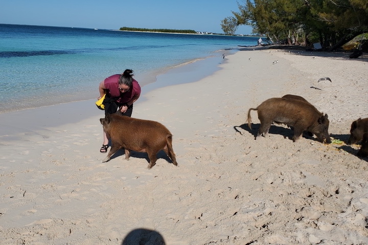 Bahamas - Abacos - March 2023